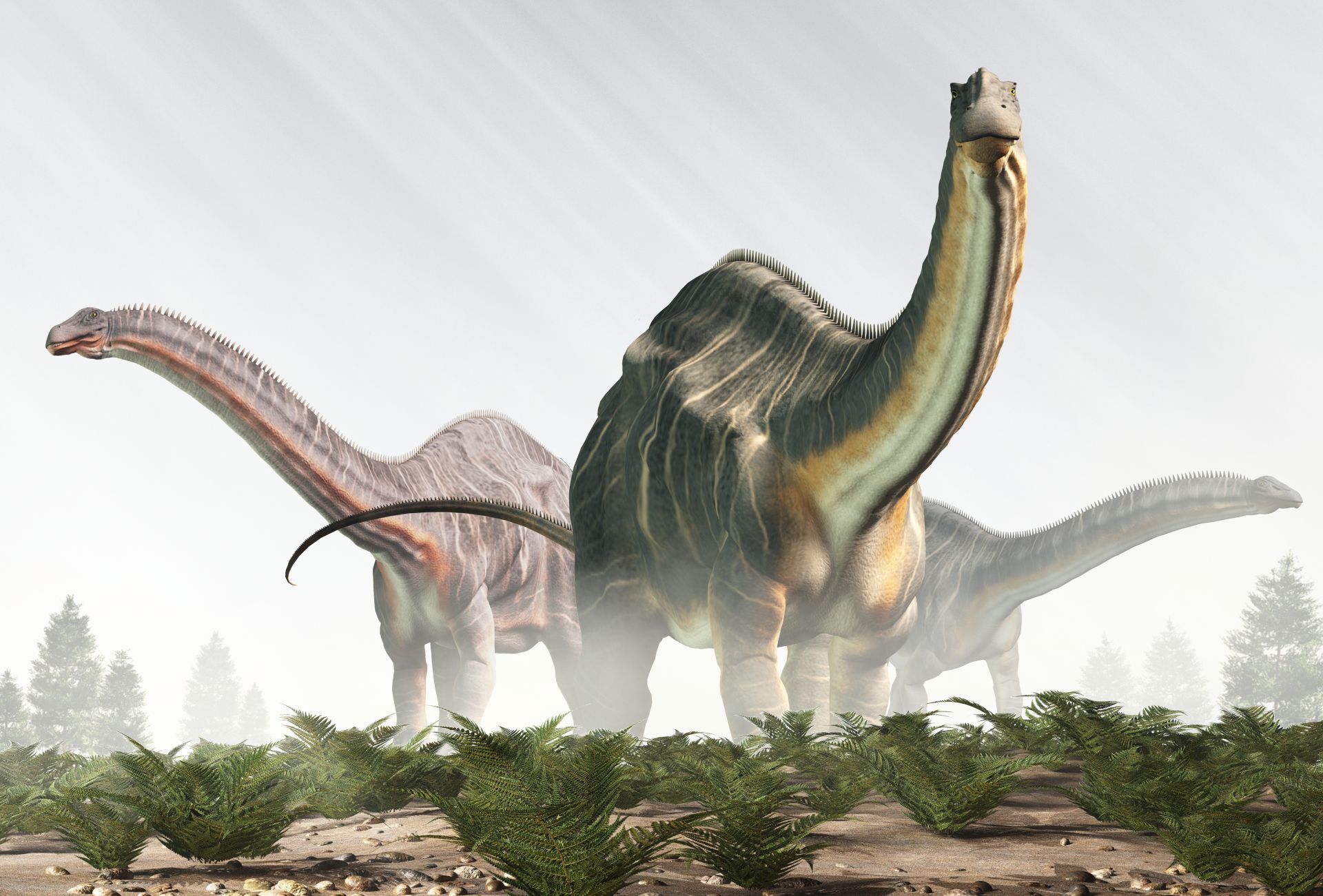 apatosaurus dinosaurus